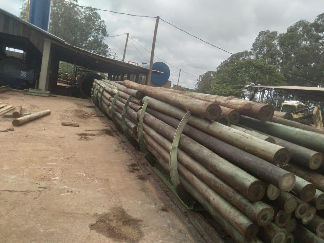 Estrutura da empresa 3