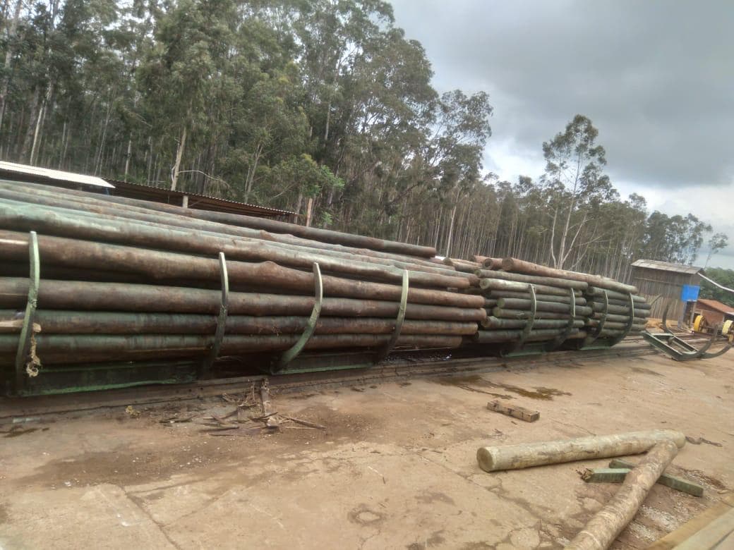 Estrutura da empresa 5