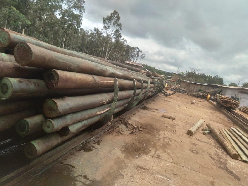 Estrutura da empresa 6