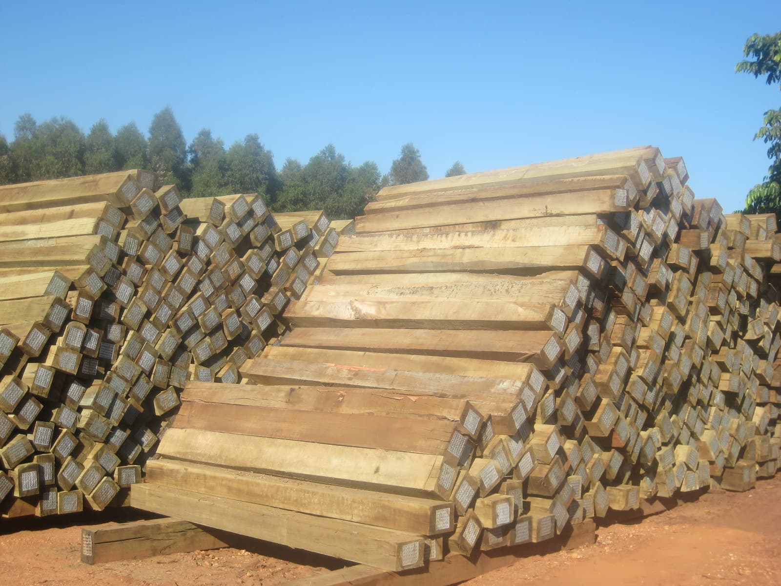 Dormentes ferroviários 6