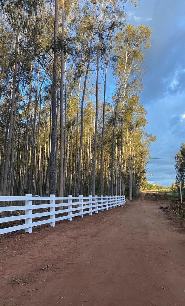 Palanques e cercas 5