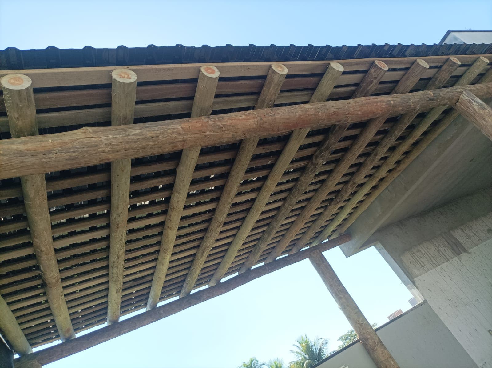 Palanques e cercas 9